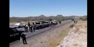 Encuentran 10 cuerpos en carretera Caborca-Sonoyta
