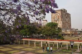 Avanza en la unam vacuna contra el nuevo coronavirus