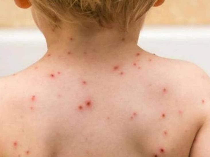 7f6e1c64-fcd5-4db7-81d4-5d126c40a747-0de1d66a-focus-0-0-732-549