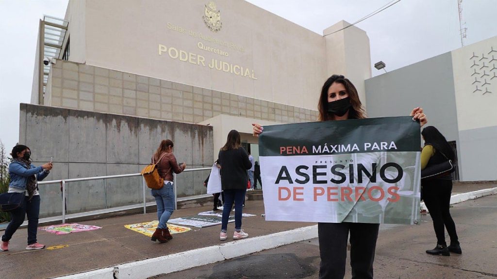 8fda4d194fcd0854c8d80854b2e5891e0b942fb7w-1