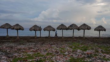 R7NC65QY2DOBMN62GO4W3ZQQZA