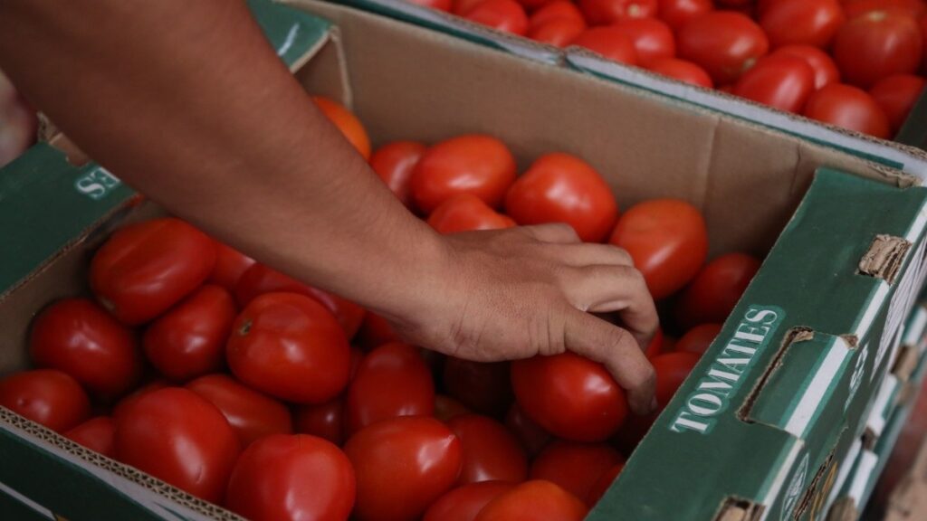 se_dispara_el_precio_del_jitomate2x.jpg_554688468