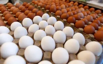 rs1003433_2252349-dig-2014-11-12-0931_crop1675885664241.jpg_788543494