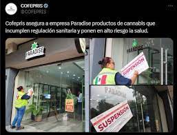 Cofepris incauta productos con CBD de empresa de Vicente Fox