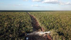 La obra del Tren Maya requirió la tala de más de 10 millones de árboles en el sureste de México, dicen activistas