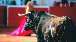 Protestan contra regreso de las corridas de toros a la Plaza México