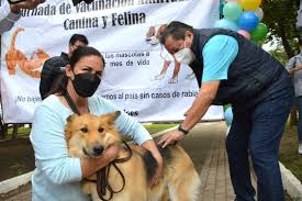 Cenaprece inicia jornada de vacunación antirrábica para perros y gatos