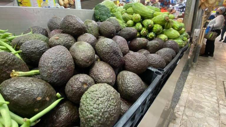 inflacion_1-7663040_20240724080804