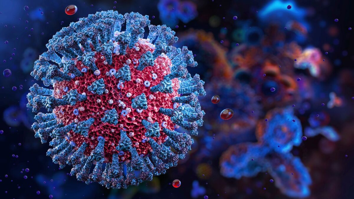 cigarra-variante-covid-19-casos