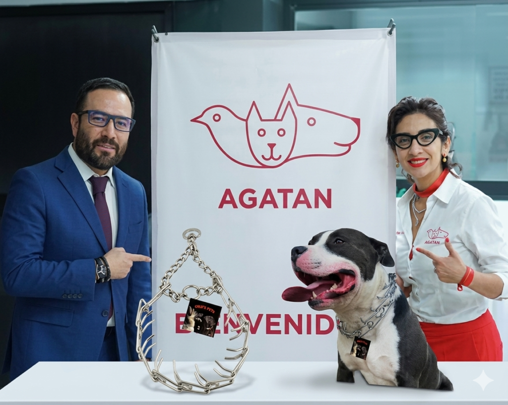 Gemini_Generated_Image_nj82v9nj82v9nj82 (1)