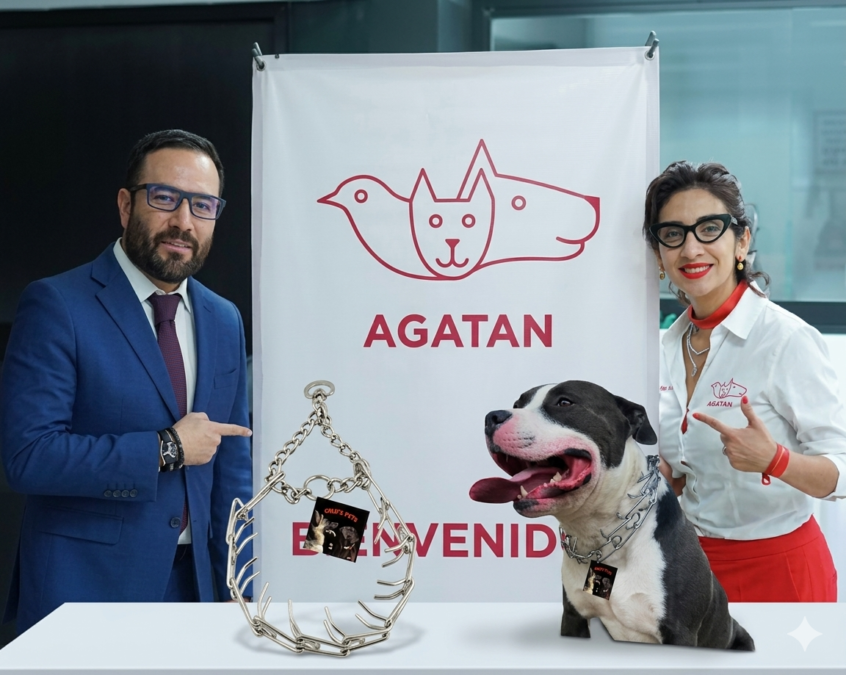 Gemini_Generated_Image_nj82v9nj82v9nj82 (1)