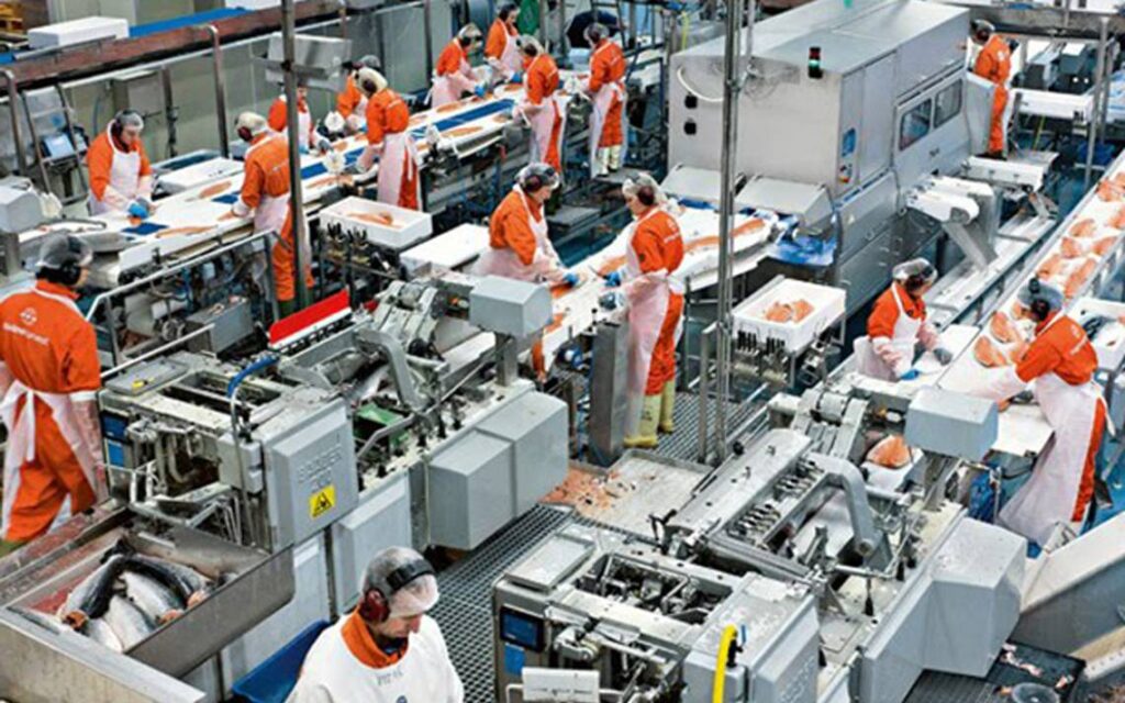 Industria-Manufaturera