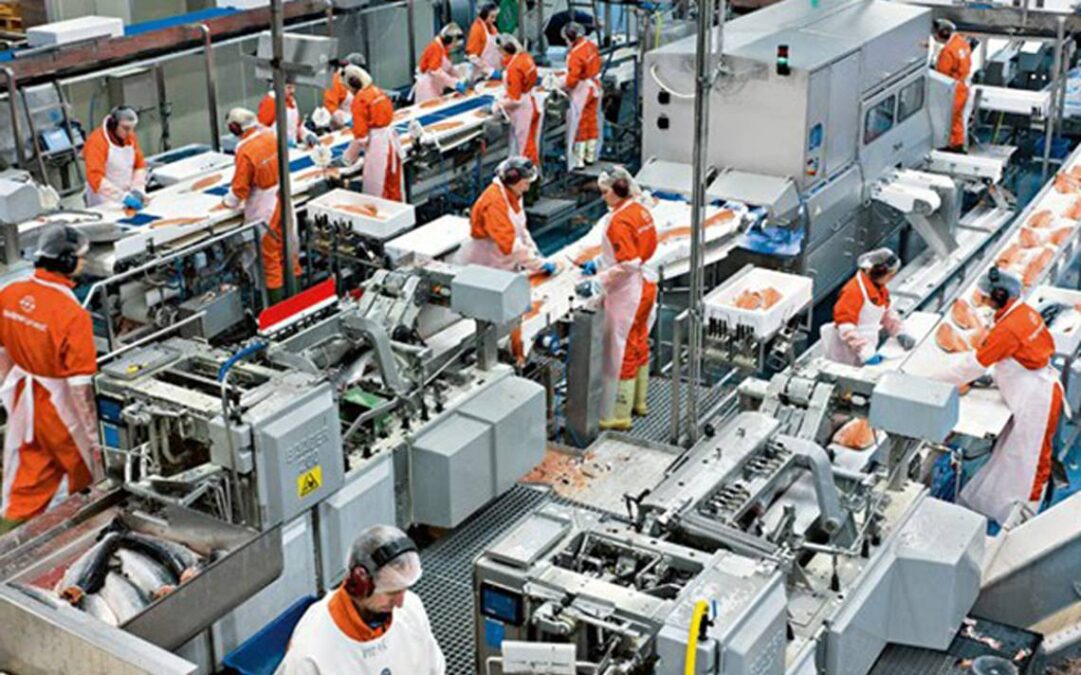 Industria-Manufaturera