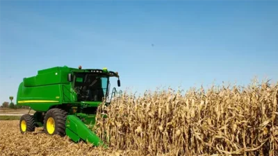 maiz-22-7f7fa5ee-focus-0-0-610-344