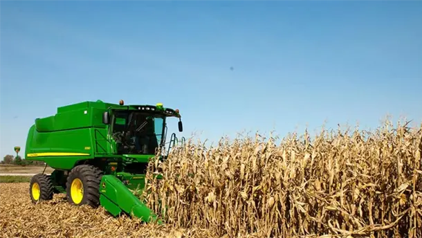 maiz-22-7f7fa5ee-focus-0-0-610-344