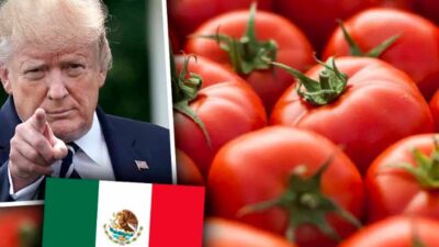 trump-impondra-aranceles-del-2091-al-jitomate-mexicano-613876